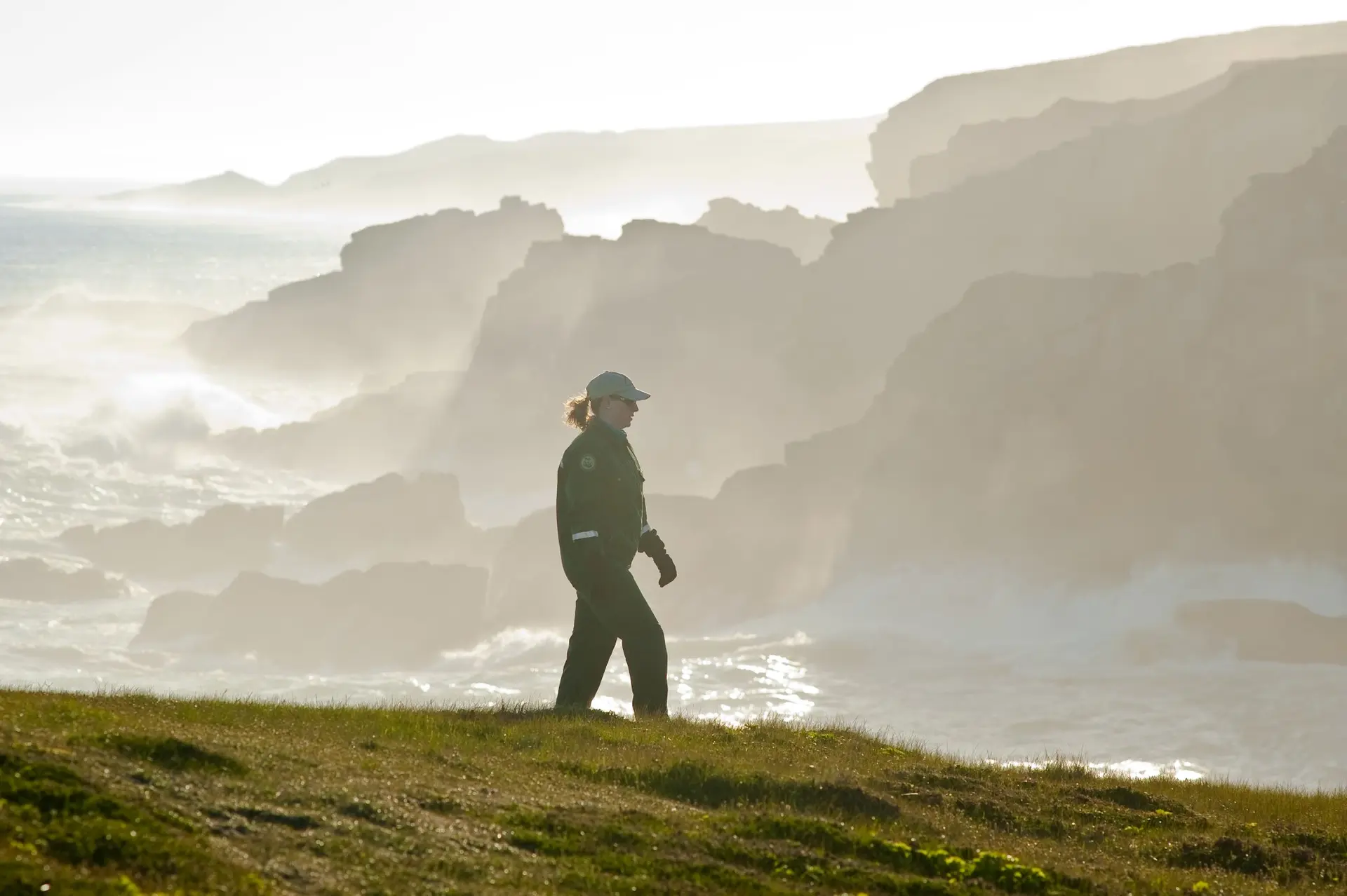 Mistaken Point Ecological Reserve